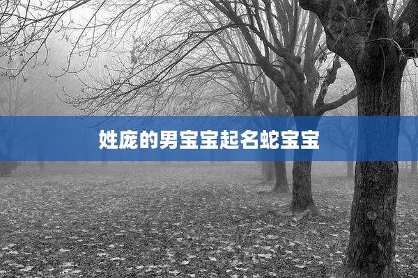 姓庞的男宝宝起名蛇宝宝