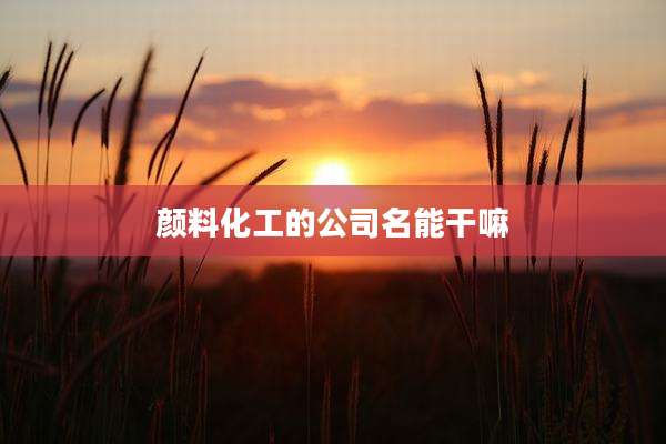 颜料化工的公司名能干嘛