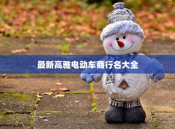 最新高雅电动车商行名大全