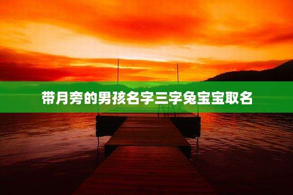 带月旁的男孩名字三字兔宝宝取名