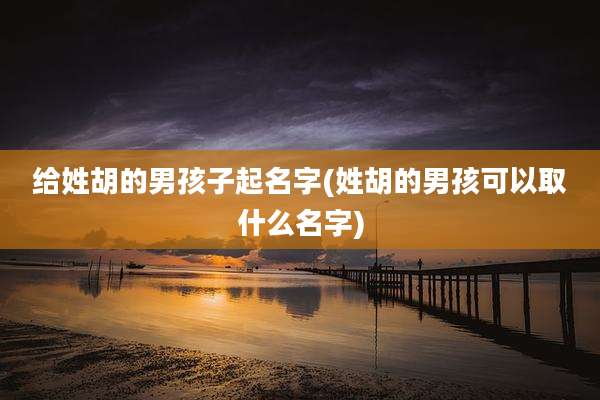 给姓胡的男孩子起名字(姓胡的男孩可以取什么名字)