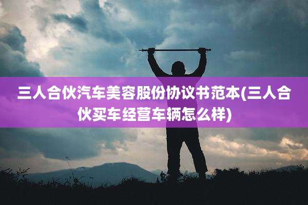 三人合伙汽车美容股份协议书范本(三人合伙买车经营车辆怎么样)
