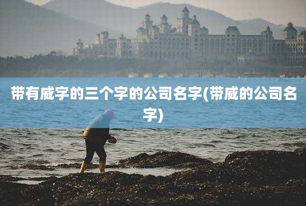 带有威字的三个字的公司名字(带威的公司名字)