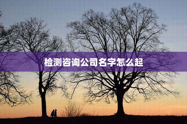 检测咨询公司名字怎么起