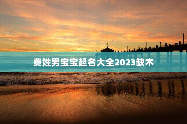 费姓男宝宝起名大全2023缺木