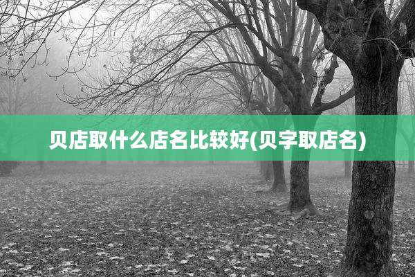 贝店取什么店名比较好(贝字取店名)