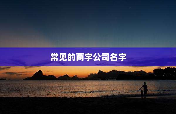 常见的两字公司名字