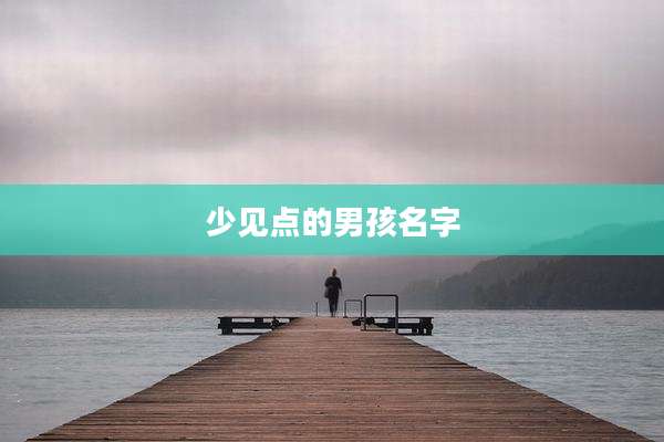 少见点的男孩名字