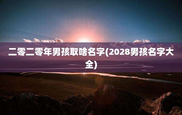二零二零年男孩取啥名字(2028男孩名字大全)