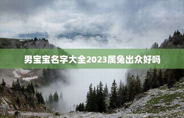 男宝宝名字大全2023属兔出众好吗