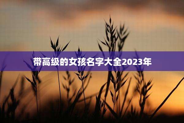 带高级的女孩名字大全2023年