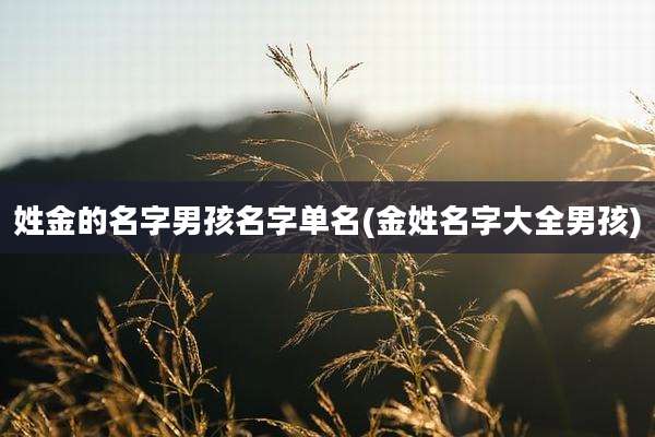 姓金的名字男孩名字单名(金姓名字大全男孩)
