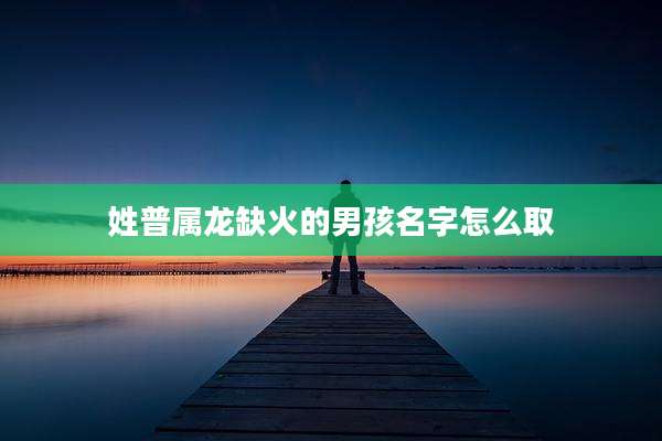 姓普属龙缺火的男孩名字怎么取