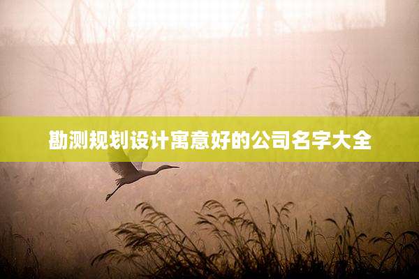 勘测规划设计寓意好的公司名字大全