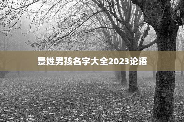 景姓男孩名字大全2023论语