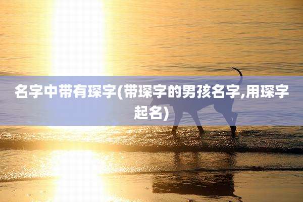 名字中带有琛字(带琛字的男孩名字,用琛字起名)