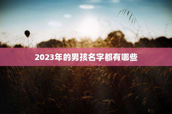 2023年的男孩名字都有哪些