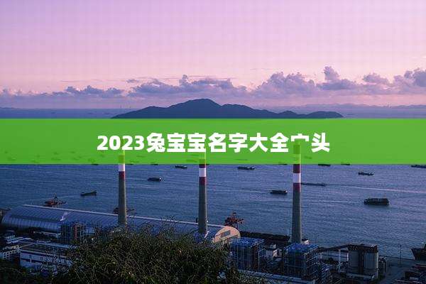 2023兔宝宝名字大全宀头