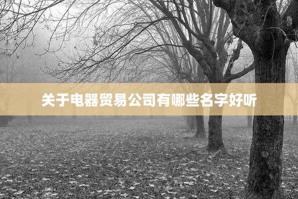 关于电器贸易公司有哪些名字好听