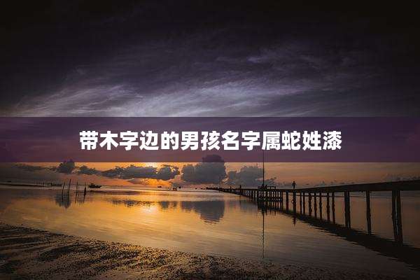 带木字边的男孩名字属蛇姓漆