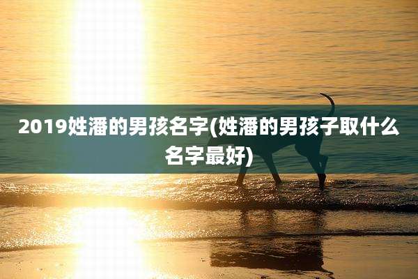 2019姓潘的男孩名字(姓潘的男孩子取什么名字最好)