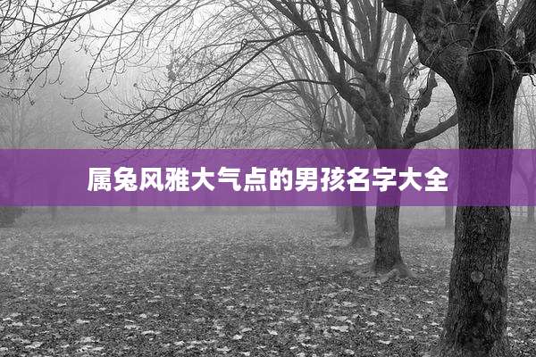 属兔风雅大气点的男孩名字大全