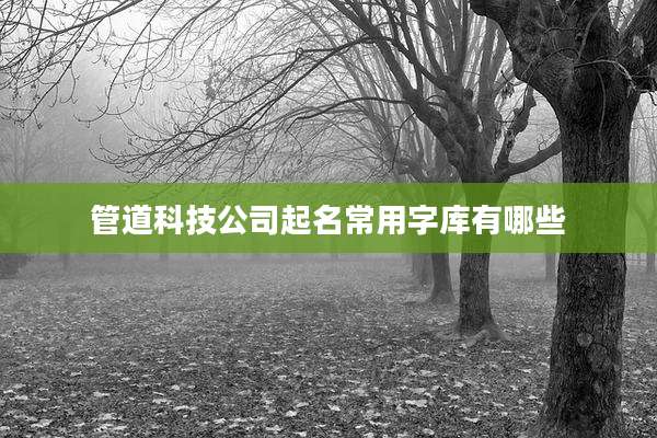管道科技公司起名常用字库有哪些