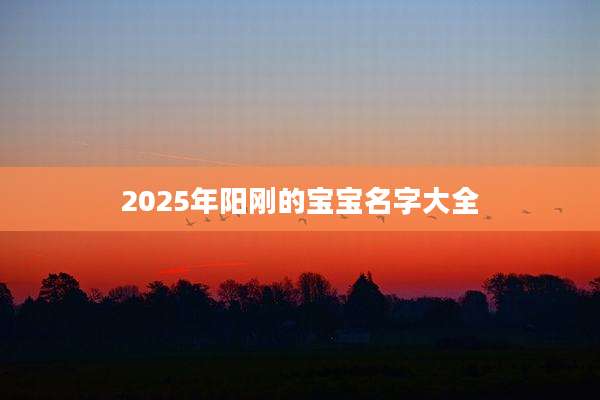 2025年阳刚的宝宝名字大全