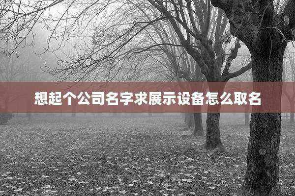 想起个公司名字求展示设备怎么取名