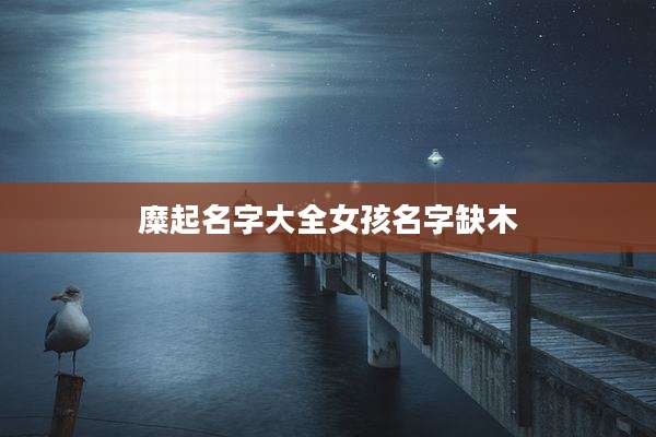 糜起名字大全女孩名字缺木
