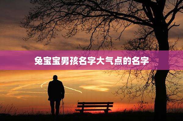兔宝宝男孩名字大气点的名字