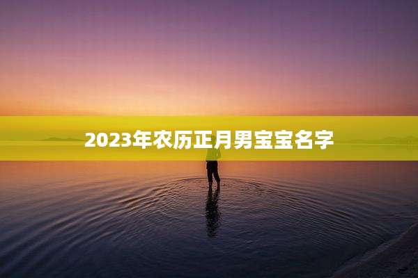 2023年农历正月男宝宝名字