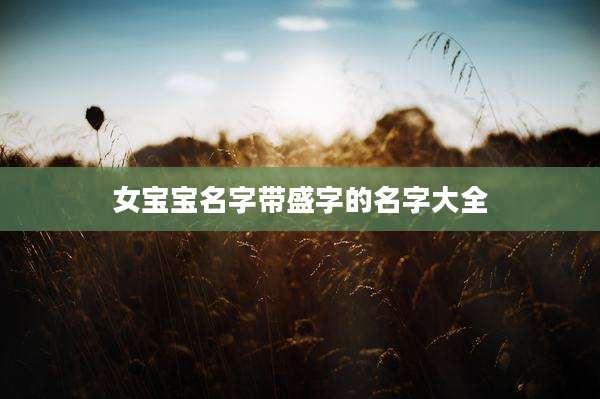 女宝宝名字带盛字的名字大全