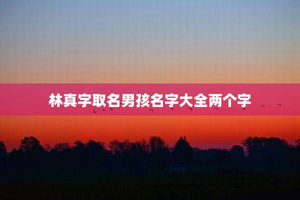 林真字取名男孩名字大全两个字