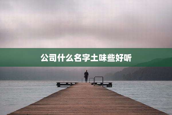 公司什么名字土味些好听