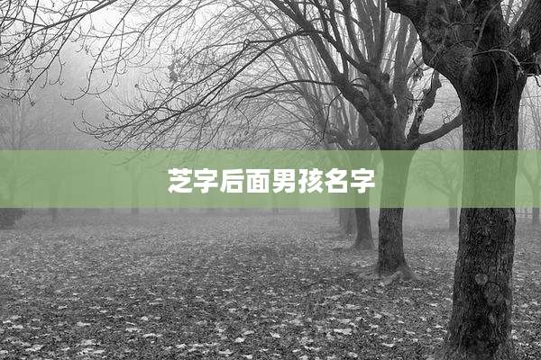 芝字后面男孩名字