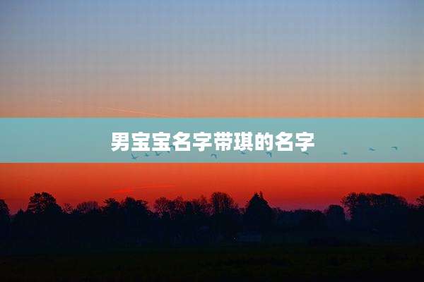 男宝宝名字带琪的名字