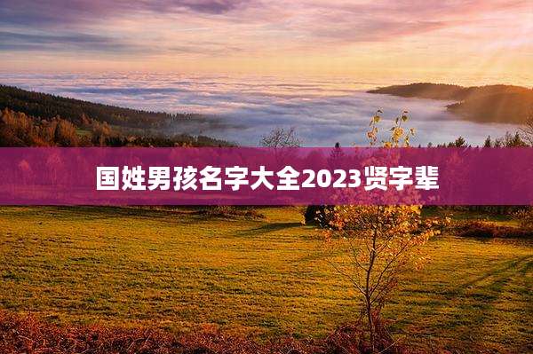 国姓男孩名字大全2023贤字辈