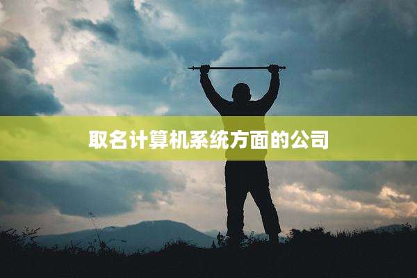 取名计算机系统方面的公司