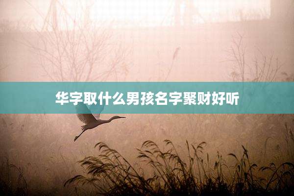 华字取什么男孩名字聚财好听