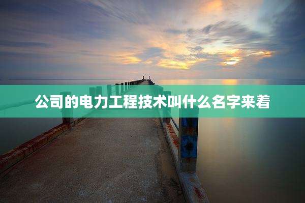 公司的电力工程技术叫什么名字来着