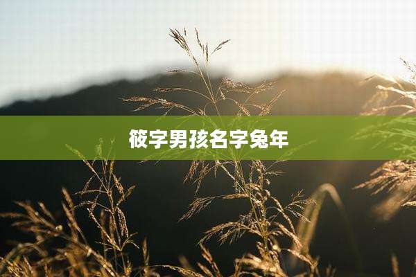 筱字男孩名字兔年