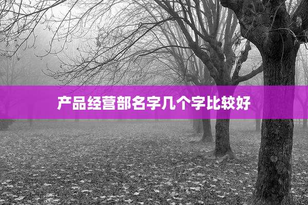 产品经营部名字几个字比较好