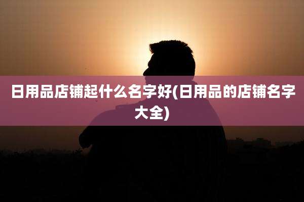 日用品店铺起什么名字好(日用品的店铺名字大全)