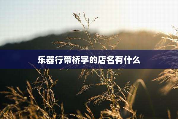 乐器行带桥字的店名有什么