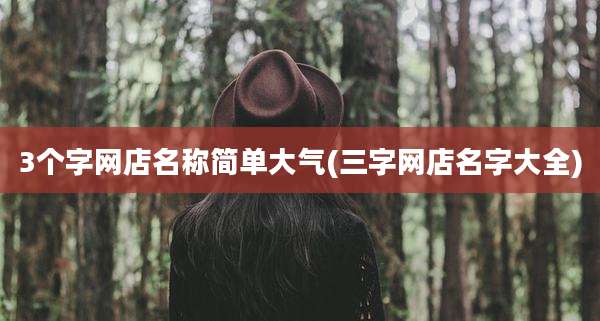 3个字网店名称简单大气(三字网店名字大全)