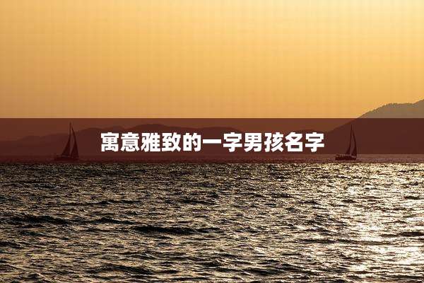 寓意雅致的一字男孩名字