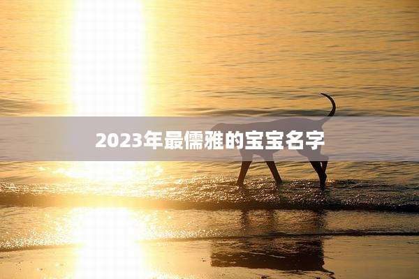 2023年最儒雅的宝宝名字