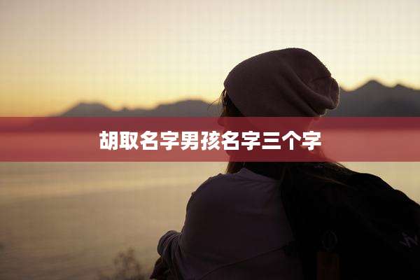 胡取名字男孩名字三个字