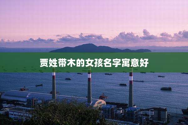 贾姓带木的女孩名字寓意好